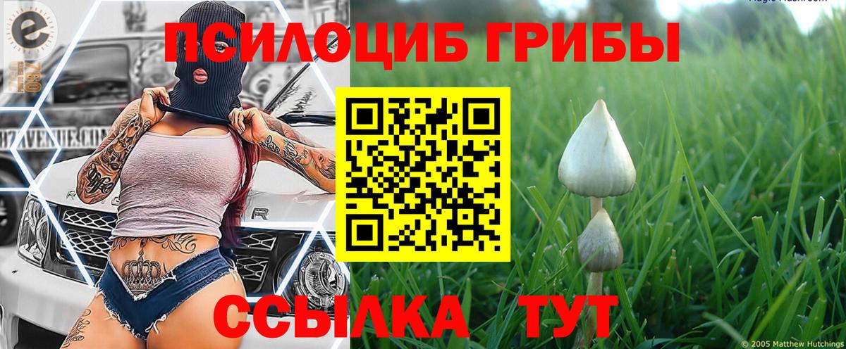 Галлюциногенные грибы MAGIC MUSHROOMS  Галлюциногенные грибы ЛСД  где продают наркотики  Янаул  Вход с VPN 