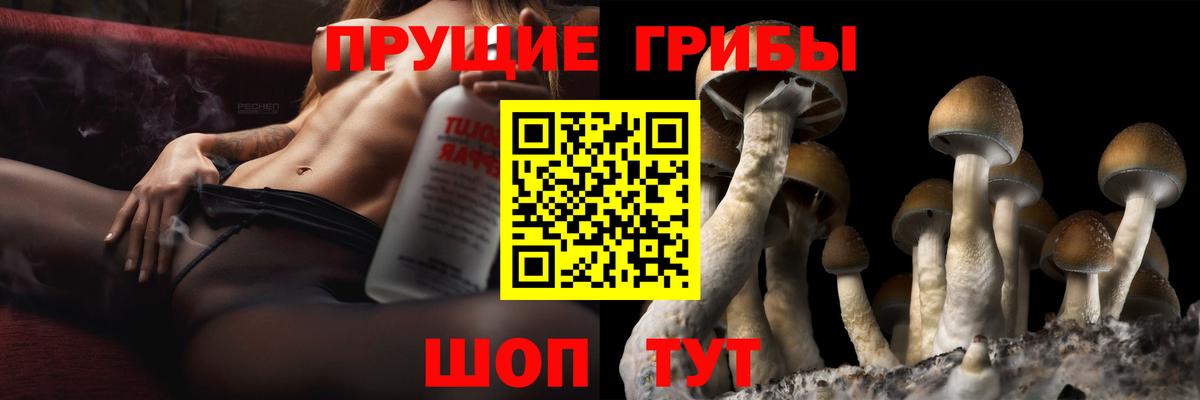 Псилоцибиновые грибы MAGIC MUSHROOMS Янаул